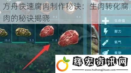 方舟快速腐肉制作秘訣：生肉轉化腐肉的秘訣揭曉