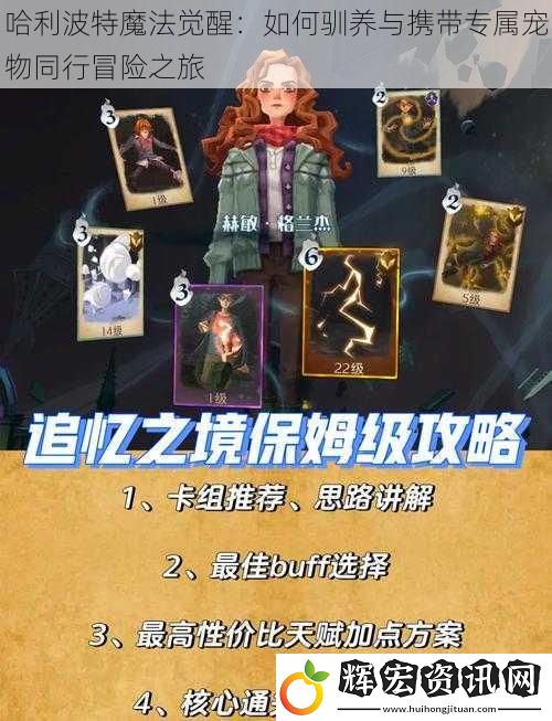 哈利波特魔法覺(jué)醒：如何馴養(yǎng)與攜帶專屬寵物同行冒險(xiǎn)之旅
