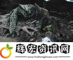 怪物獵人荒野鎖刃龍?zhí)度绾未蚍?></p><p>團(tuán)隊(duì)成員間需保持良好溝通，制定協(xié)同作戰(zhàn)策略，例如明確分工，提高狩獵效率。</p><p style=