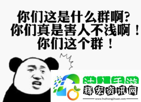 網絡用語你們這個是什么群啊是什么梗
