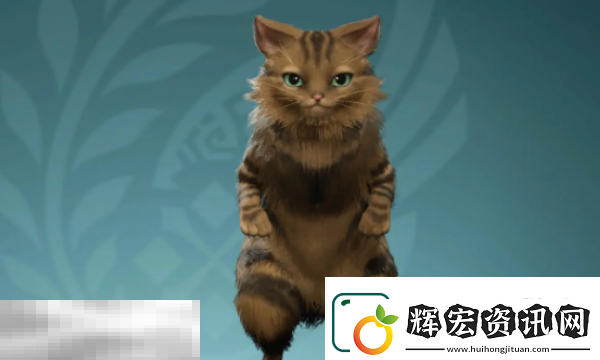 怪物獵人荒野艾露貓捏臉數(shù)據(jù)分享