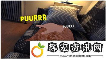 明白了！以下是我為您生成的文章