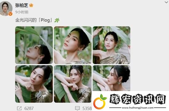 張柏芝最新**