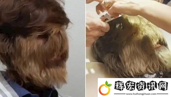 印度少年獲“最毛臉”吉尼斯紀錄