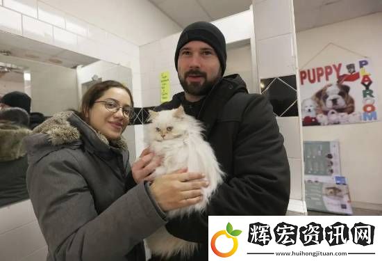 紐約開始禁止寵物店銷售狗貓兔