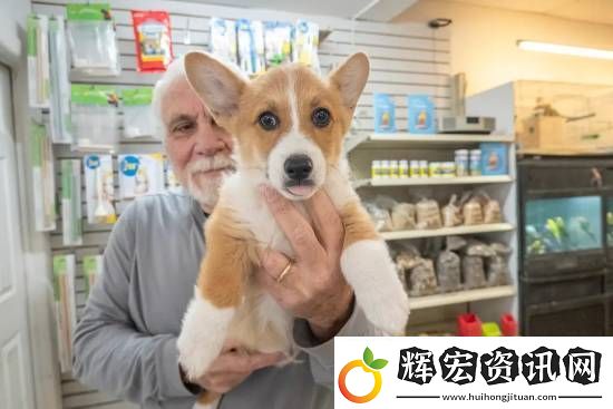 紐約開始禁止寵物店銷售狗貓兔