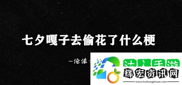 七夕嘎子去偷花了什么梗