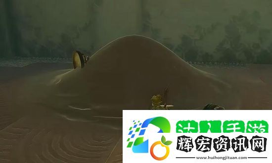 塞爾達(dá)傳說(shuō)王國(guó)之淚索琉塔尼高神廟怎么過(guò)
