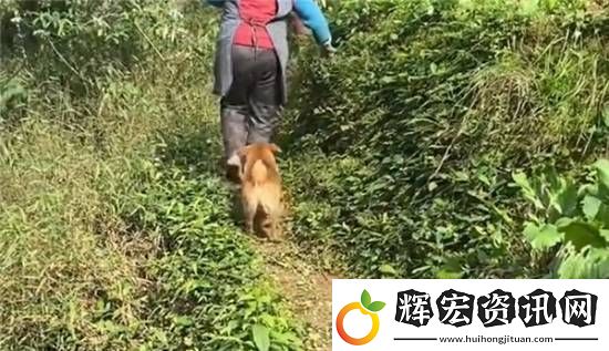 主人殺年豬