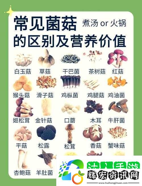 江湖悠悠菌菇木耳食譜