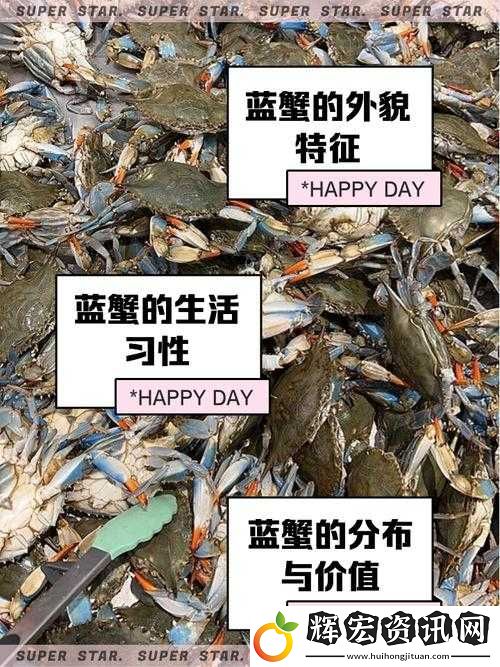 原神海藍蟹在哪