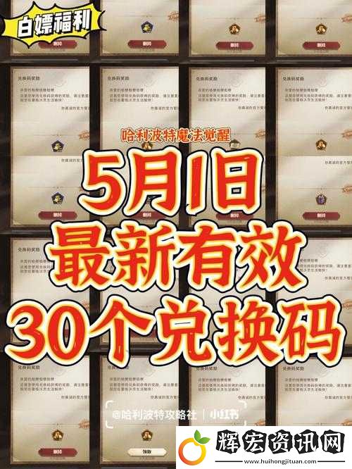 隱藏福利！最新哈利波特設定集兌換碼別錯過！超值活動限時開啟！
