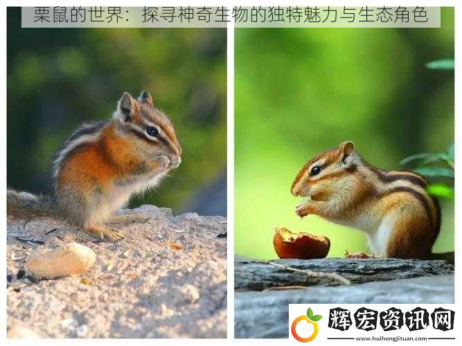 栗鼠的世界：探尋神奇生物的獨特魅力與生態角色