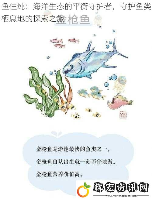 魚住純：海洋生態(tài)的平衡守護(hù)者，守護(hù)魚類棲息地的探索之旅