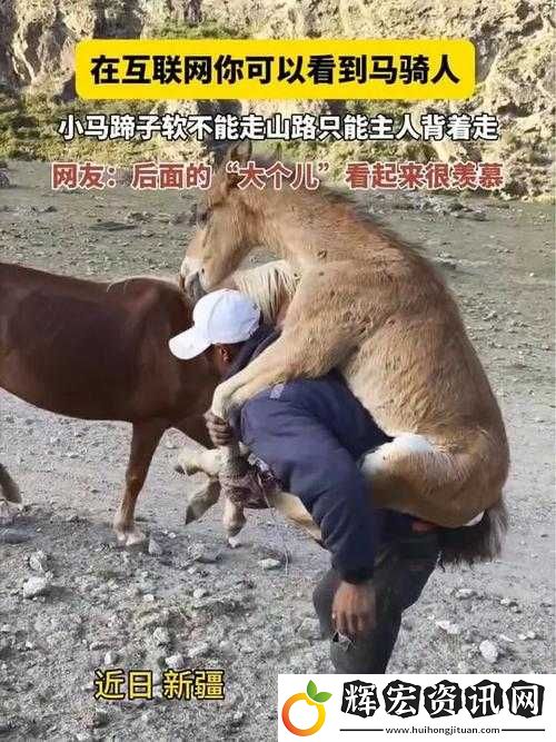 ZOOM動(dòng)物人配人馬