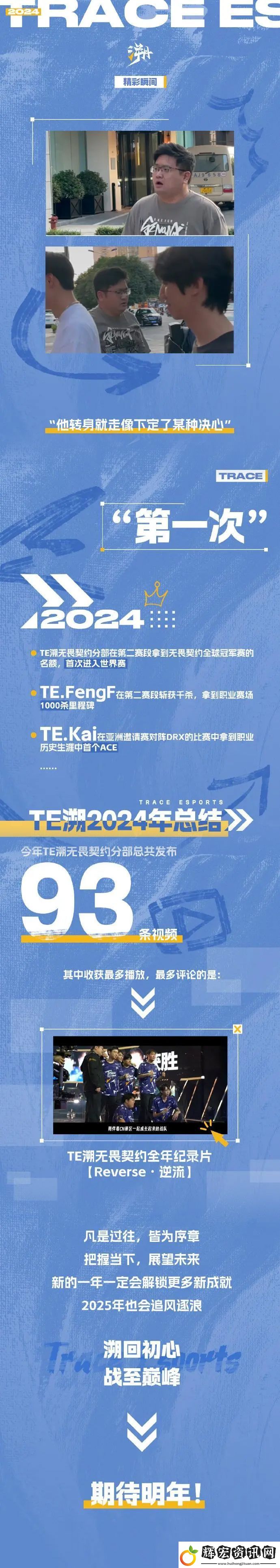 TE發布2024年度總結