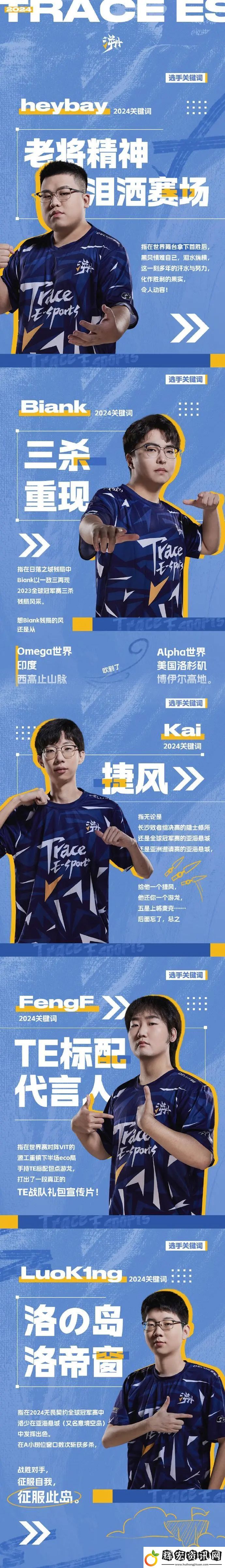 TE發布2024年度總結