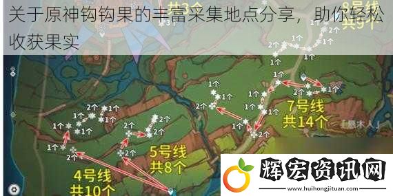 關(guān)于原神鉤鉤果的豐富采集地點(diǎn)分享，助你輕松收獲果實(shí)