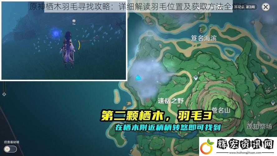 原神棲木羽毛尋找攻略：詳細解讀羽毛位置及獲取方法全解析