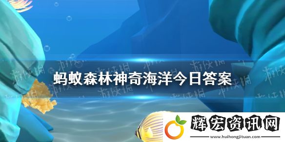 鯊魚在太陽下曬久了會變黑嗎