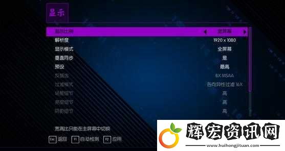 黑道圣徒4畫面設置死活存不住
