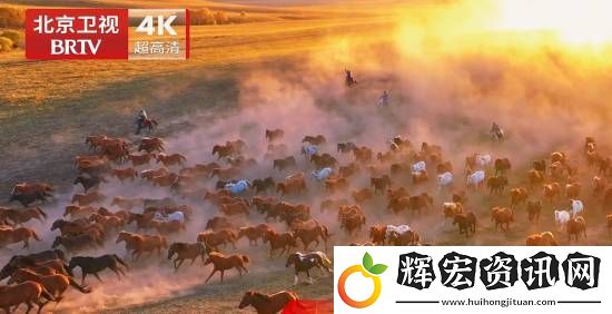 國內首個！北京衛視4K超高清頻道震撼亮相