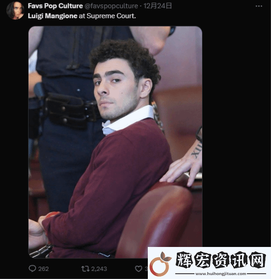 槍殺醫保巨頭CEO嫌犯顏值出圈