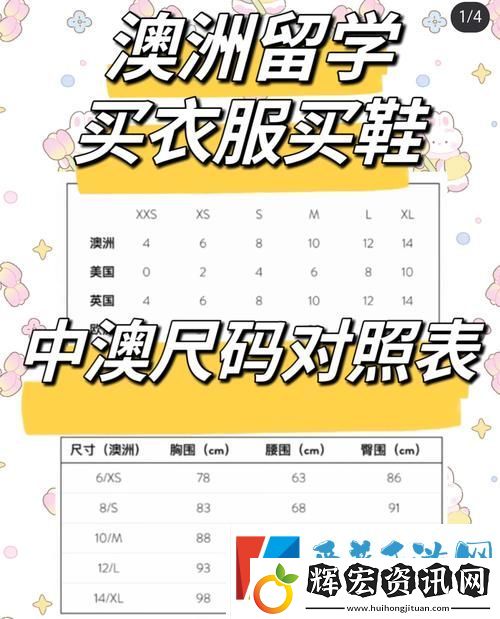 深入探討亞州尺碼與歐洲尺碼區(qū)別對比的奧秘