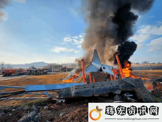 專家稱韓國空難機場設計近乎犯罪！179人本不會死