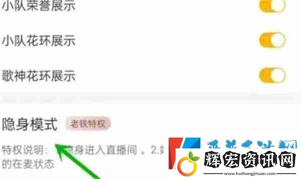 伊對怎么設(shè)置隱身模式