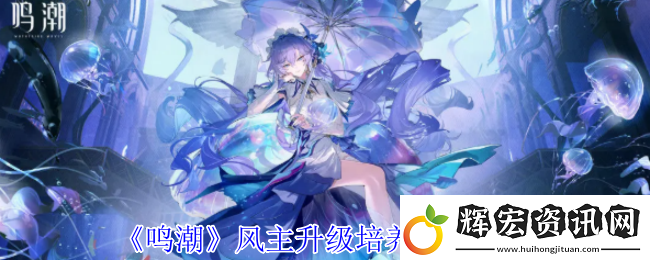 鳴潮風主升級培養材料一覽