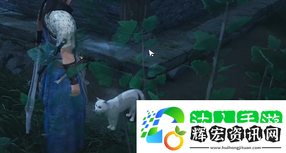 燕云十六聲將軍祠貓咪在哪